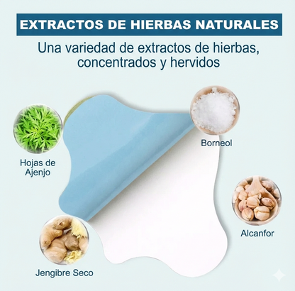 Parches Naturales HerbaFlex - Alivio Dolor y Inflamación